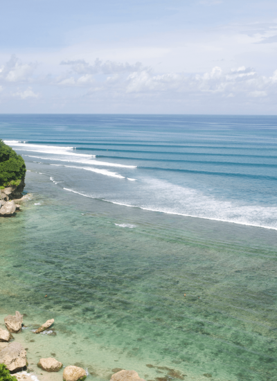 <p><a href="https://dev3.gwacamol.sg/alternatevilla/listing?by_city=Bingin">BINGIN<br>1 Properties</a></p>