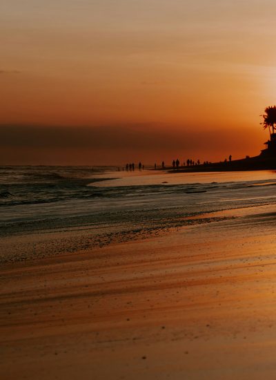 <p><a href="https://dev3.gwacamol.sg/alternatevilla/listing?by_city=Cemagi">CEMAGI<br>0 Properties</a></p>