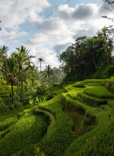 <p><a href="https://dev3.gwacamol.sg/alternatevilla/listing?by_city=Ubud">UBUD<br>2 Properties</a></p>