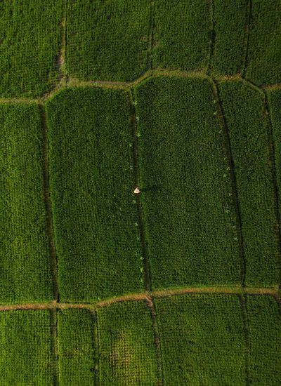 <p><a href="https://dev3.gwacamol.sg/alternatevilla/listing?by_city=Umalas">UMALAS<br>2 Properties</a></p>